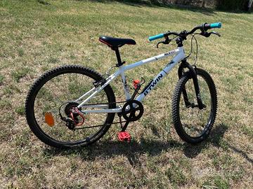Mountain bike