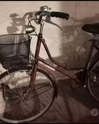 Bicicletta da donna senza marce