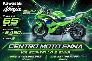Kawasaki Ninja 500 SE - 2026 Intera Gamma