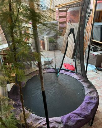 Trampolino elastico