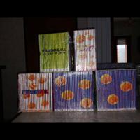 Saga completa Dragon Ball