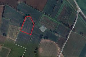 TERRENO A SAN DANIELE PO