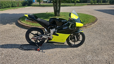 Premoto 3 Brevo con motore Yamaha 250