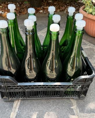 Bottiglie vuote per vino o birra