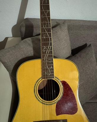 Ibanez Artwood AW40 + Custodia e Accordatore
