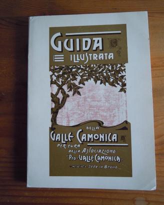 GUIDA illustrata VALLE CAMONICA anastatica 1905