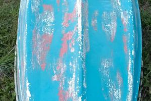 barca trimarano bassboat