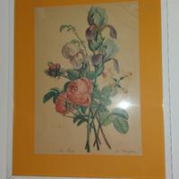 Quadro cornice legno bianco Roses Iris fiori