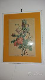 Quadro cornice legno bianco Roses Iris fiori