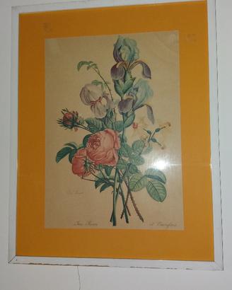 Quadro cornice legno bianco Roses Iris fiori