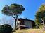 Immagine 11