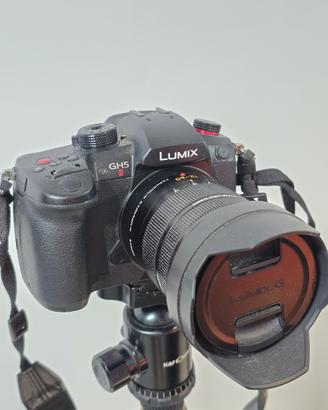 Macchina fotografica PANASONIC GH5 II