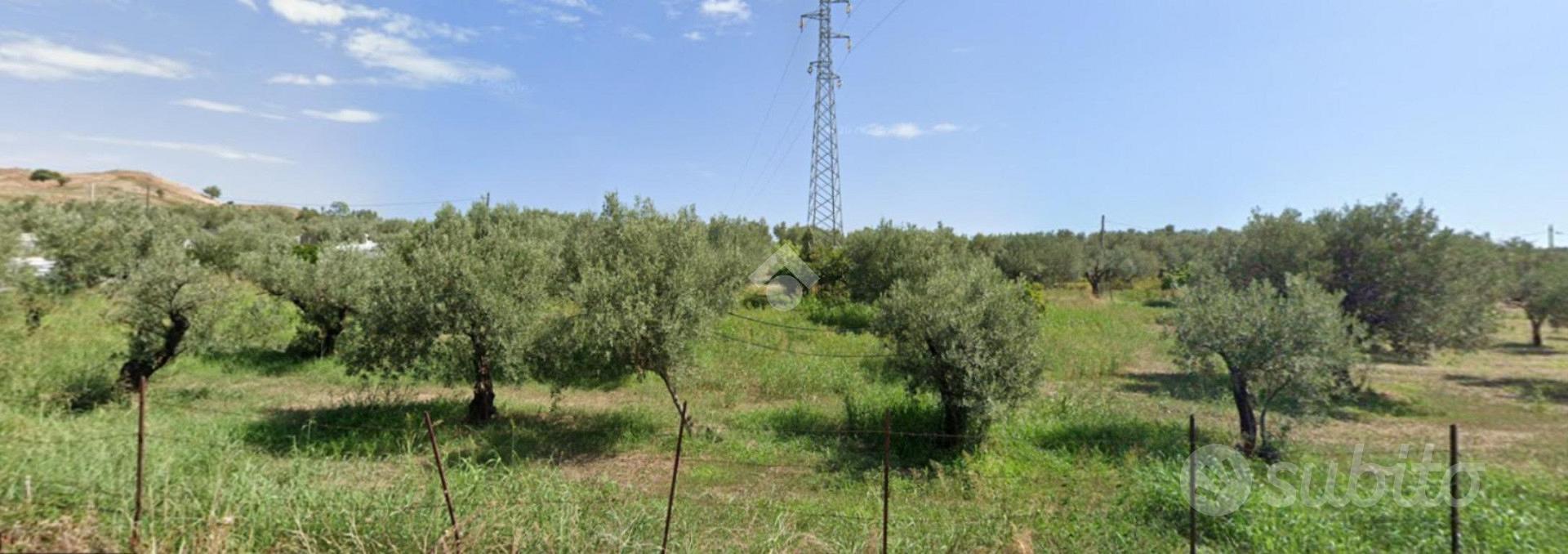 TER. AGRICOLO A CATANZARO - Vista 3