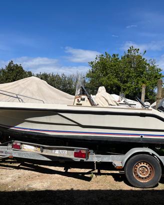 Barca a motore Elan