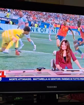 TV 28 POLLICI 