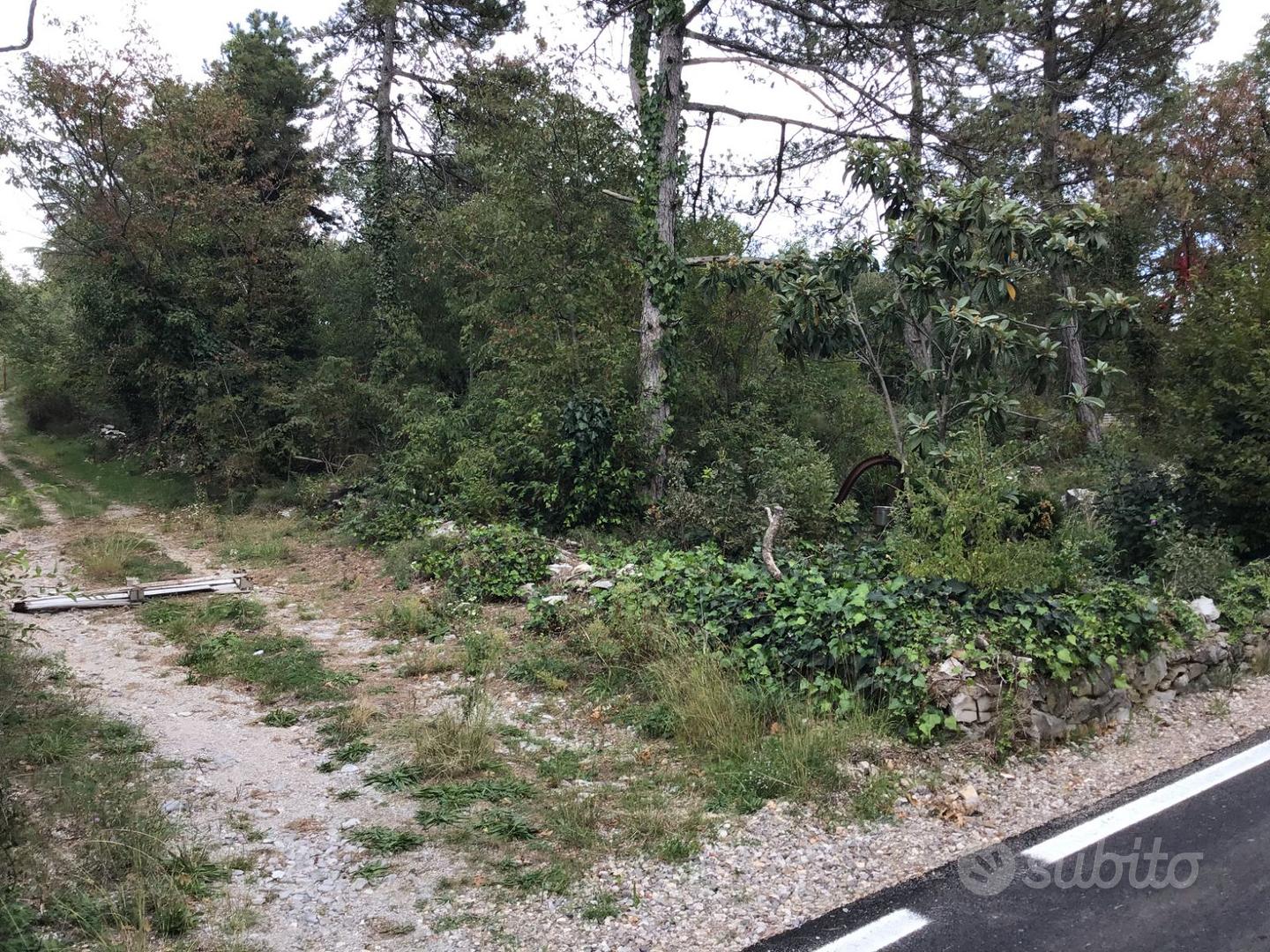 TERRENO 1100 MQ. FRONTE STRADA SGONICO TRIESTE - Vista 5