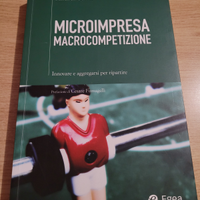 Microimpresa Macrocompetizione