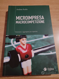 Microimpresa Macrocompetizione