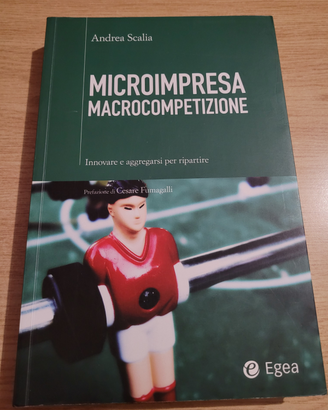 Microimpresa Macrocompetizione