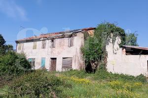 Rustico/Casale/Corte Rovigo [RO2967VRG]