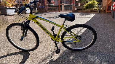 Mountain bike bambino ragazzo