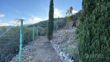 Monte Argentario terreno porto santo stefano