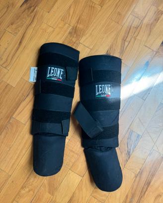 Parastinchi Leone Kick Boxing