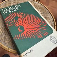 Libri poesie