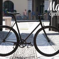 Bici scatto fisso (convertibile)