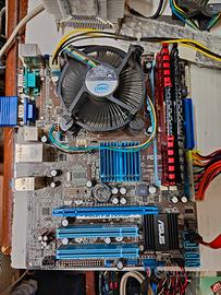scheda madre e cpu