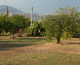 Terreno comune di Sermoneta