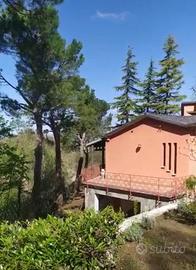 Camera singola Pianoro Vecchio