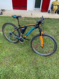 Bicicletta Mountain Bike