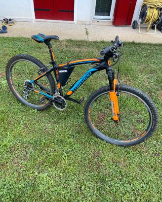 Bicicletta Mountain Bike