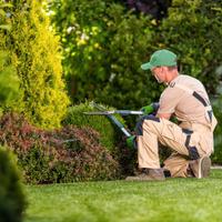 PULIZIA E MANUTENZIONE GIARDINI 