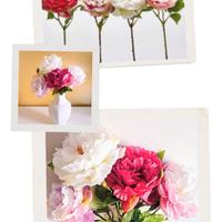 EDG Set 4 rami artificiali di Peonia Olis 