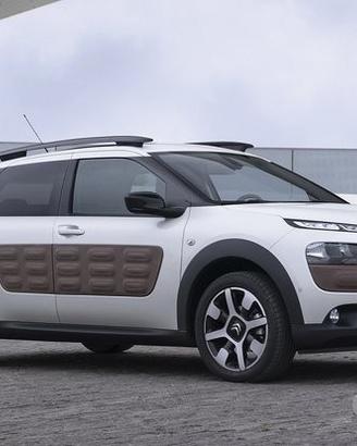 Ricambi Citroen C4 Cactus