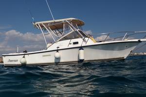 Semicabinato 7,5 mt Shamrock