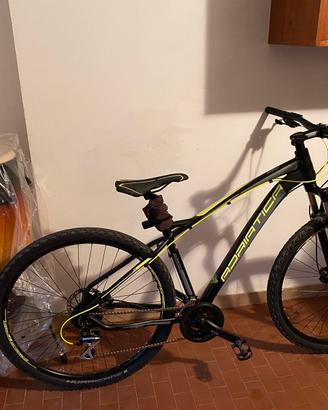Mtb adriatica