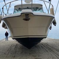 Pursuit 34 Express