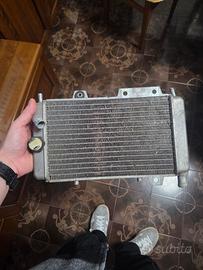 Radiatore Acqua Runner 180 2t