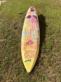 Tavola da Wind-Surf BIC