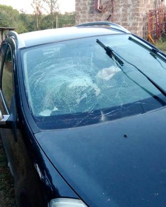 Renault Clio sprtour 20th anniversario 1.5 tdci