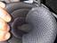 Immagine 5