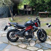 Benelli bn302