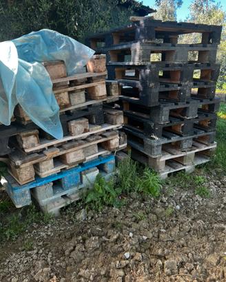 Pallet