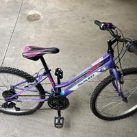 Mountain Bike “24