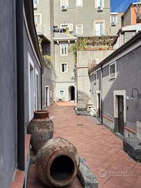 Monovano via Naumachia- Castello Ursino