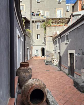 Monovano via Naumachia- Castello Ursino