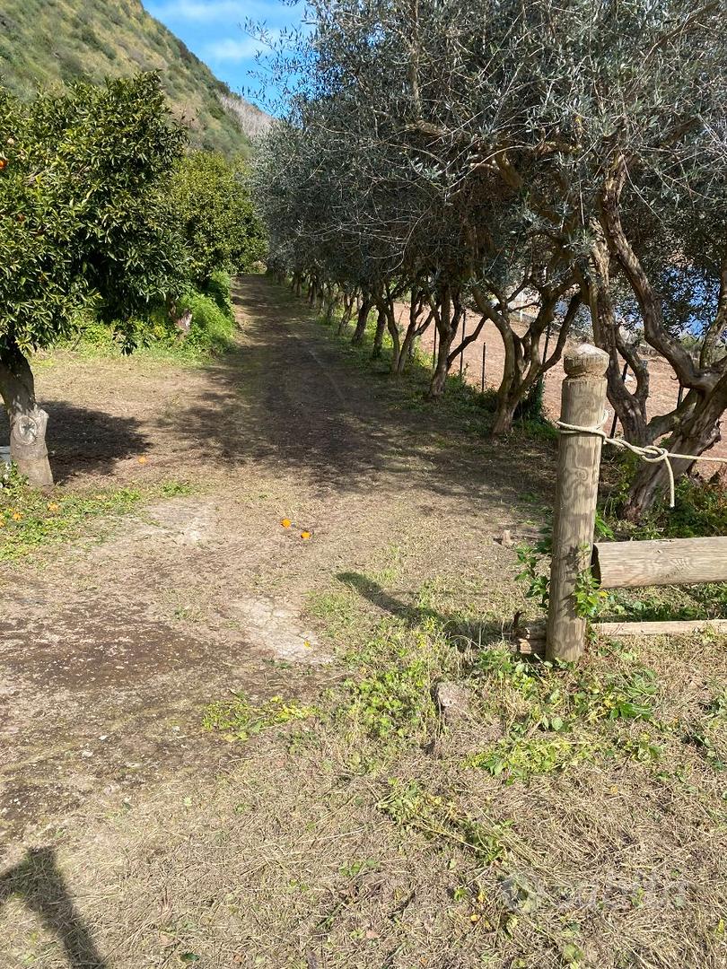 TERRENO LAGO D'AVERNO - Vista 3